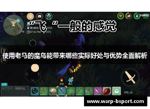 使用老马的魔鸟能带来哪些实际好处与优势全面解析 使用老马的魔鸟能带来哪些实际好处与优势全面解析