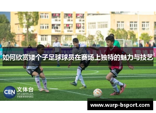 如何欣赏矮个子足球球员在赛场上独特的魅力与技艺 如何欣赏矮个子足球球员在赛场上独特的魅力与技艺