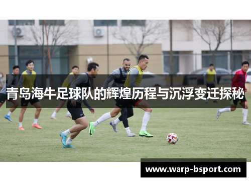 青岛海牛足球队的辉煌历程与沉浮变迁探秘 青岛海牛足球队的辉煌历程与沉浮变迁探秘