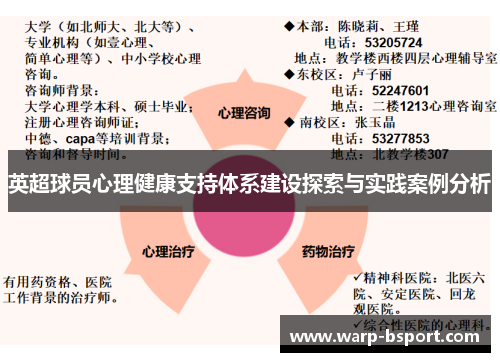 英超球员心理健康支持体系建设探索与实践案例分析